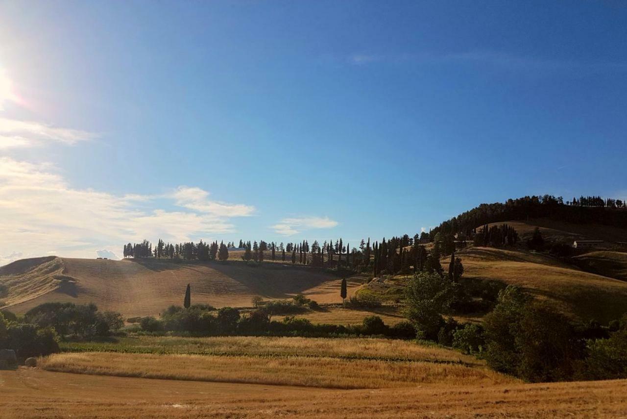 Agriturismo Podere Molino Peccioli Exteriör bild