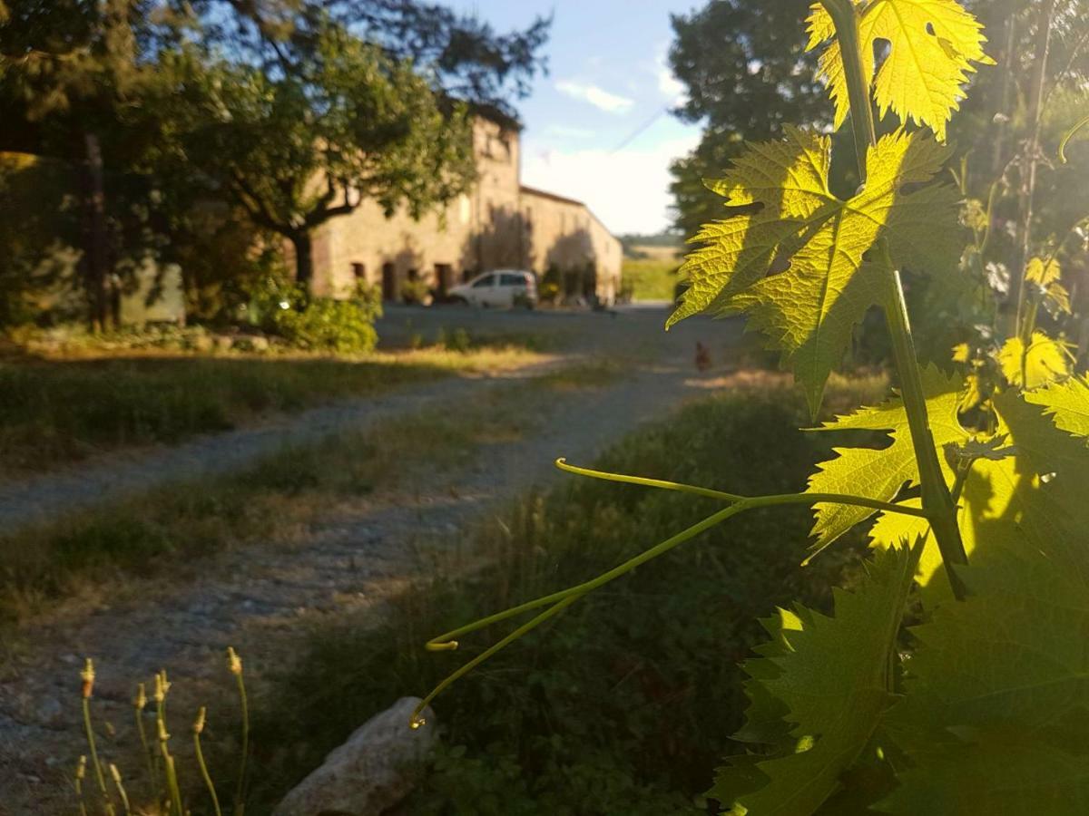 Agriturismo Podere Molino Peccioli Exteriör bild