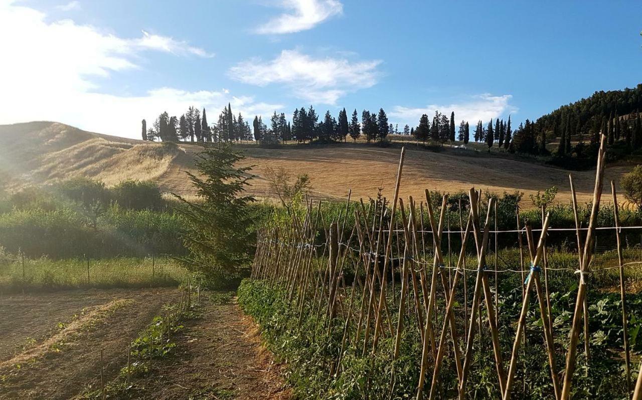 Agriturismo Podere Molino Peccioli Exteriör bild