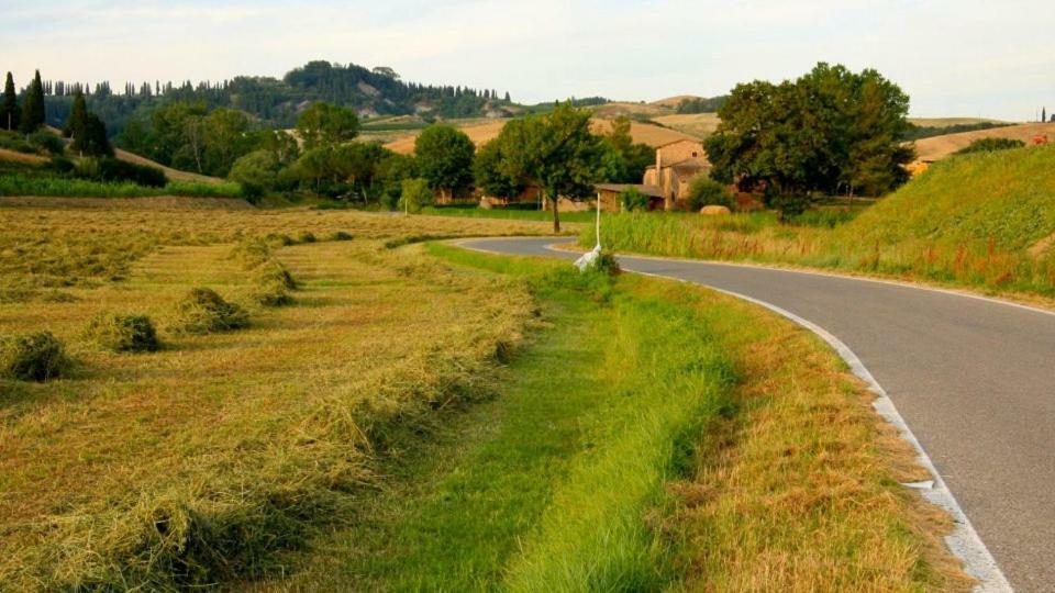 Agriturismo Podere Molino Peccioli Exteriör bild