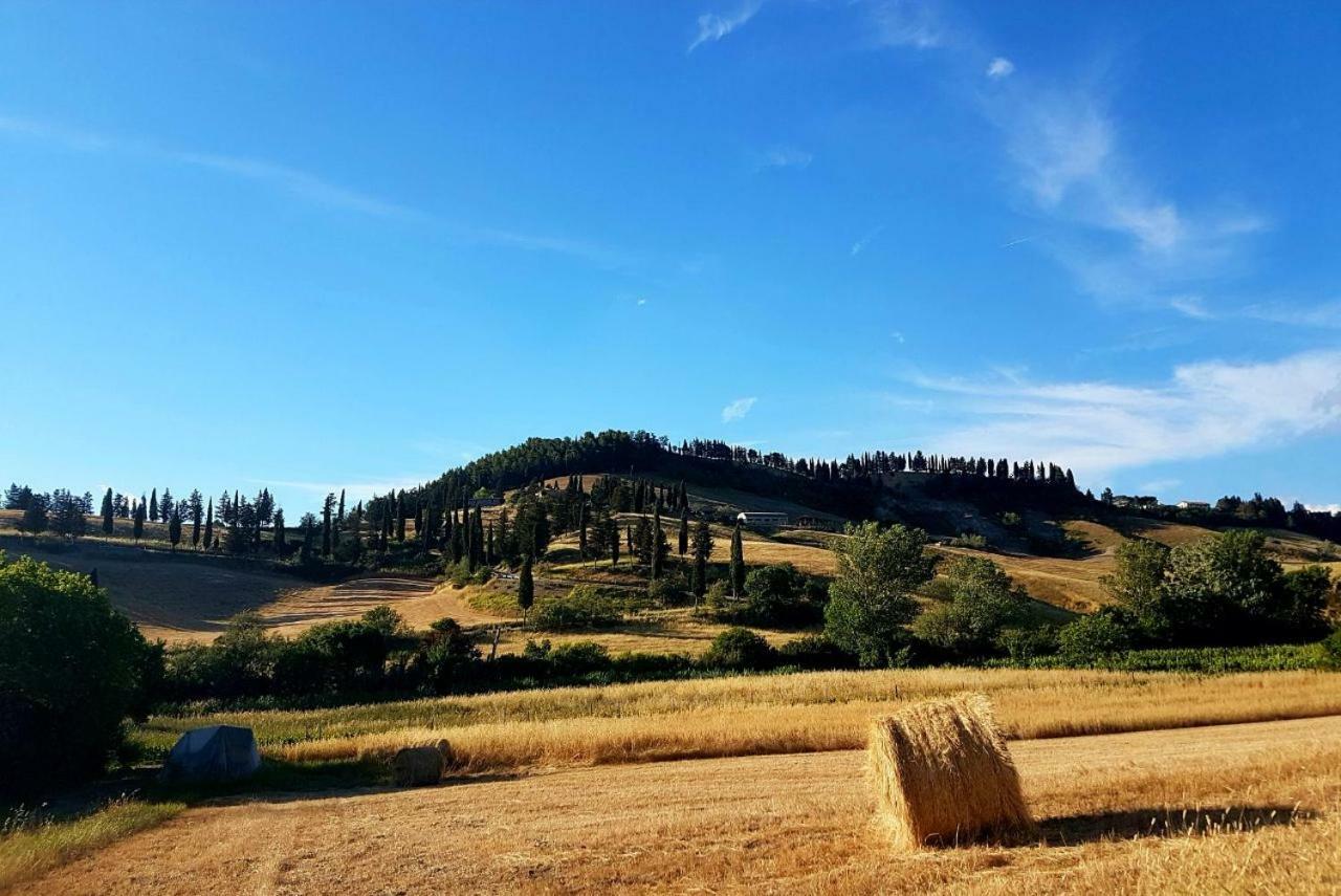 Agriturismo Podere Molino Peccioli Exteriör bild