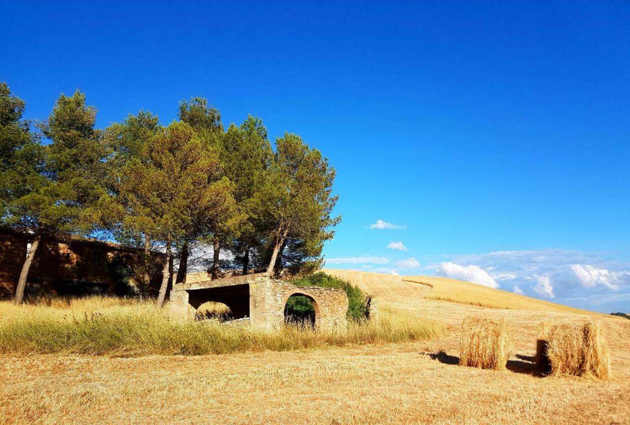 Agriturismo Podere Molino Peccioli Exteriör bild