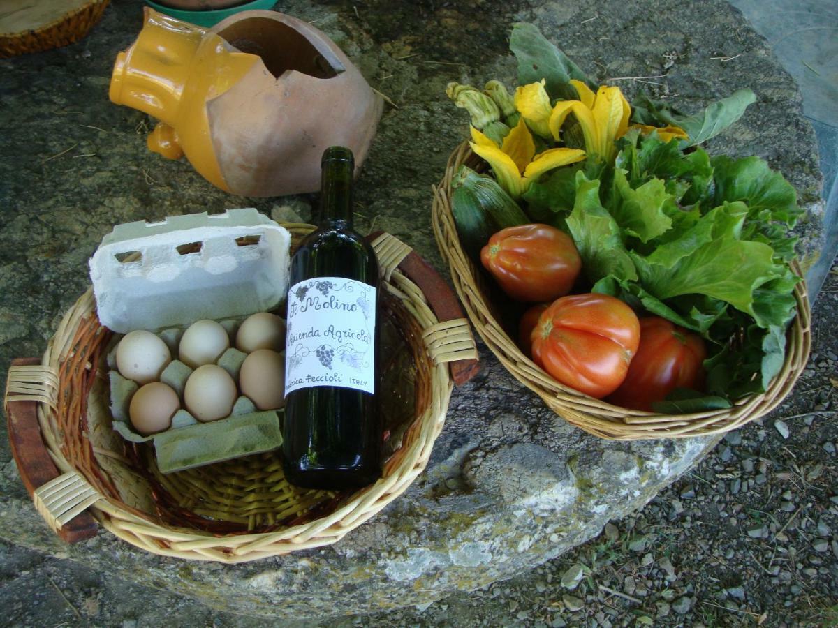 Agriturismo Podere Molino Peccioli Exteriör bild