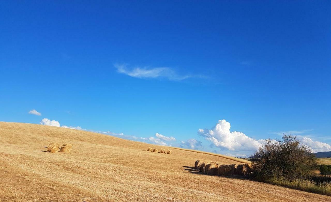 Agriturismo Podere Molino Peccioli Exteriör bild