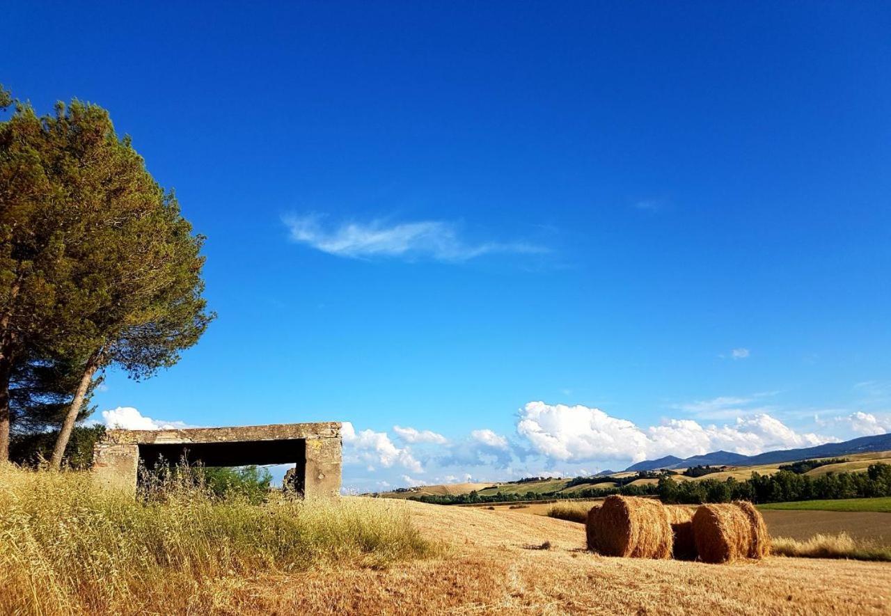 Agriturismo Podere Molino Peccioli Exteriör bild