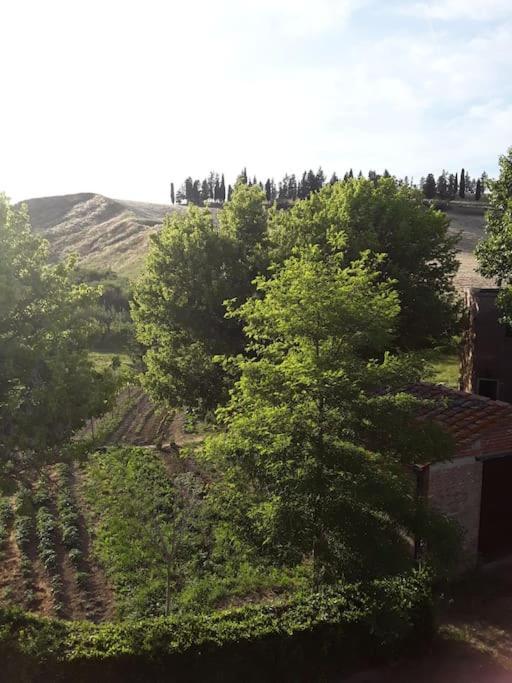 Agriturismo Podere Molino Peccioli Exteriör bild