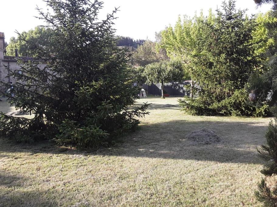 Agriturismo Podere Molino Peccioli Exteriör bild